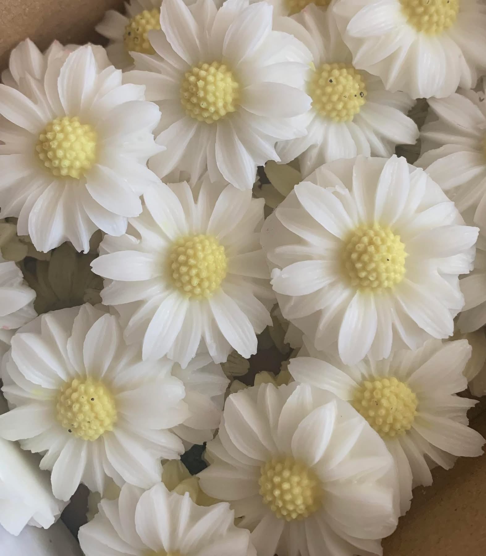 Daisies for Mom Wax Melts
